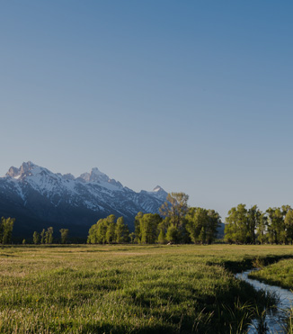 Thing To Do Westbank